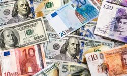 Dolar güne yükselişle başladı: 49,14 TL seviyesinde