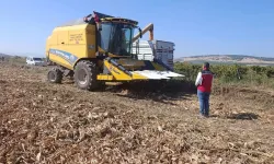 Manisa’da tarım ve hayvancılık denetimi: Üretim sahaları tek tek incelendi