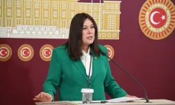 Manisa’da kuru üzüm önerileri gündemde: Sunat ve Arınç’tan açıklamalar