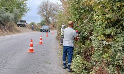 Yunusemre'de park ve yeşil alanlarda bakım mesaisi