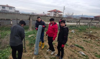 Manisalı öğrencilerden 200 zeytin fidanı