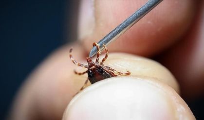 Uzmanlardan kene uyarısı: Grip sanmayın