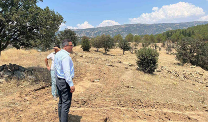 Sarıgöl’de sokak hayvanları için doğal yaşam alanı kuruluyor