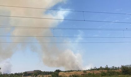 Son dakika... Saruhanlı'da orman yangını!