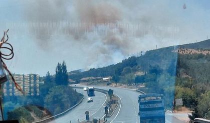 Manisa Kırkağaç'ta yangın!