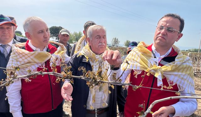 "36 bin 738 üreticimiz don zararına uğradı"