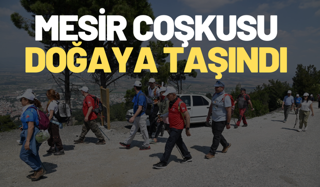 Mesir coşkusu doğaya taşındı