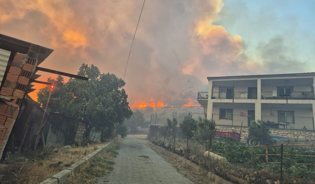 İzmir’deki orman yangınında son durum