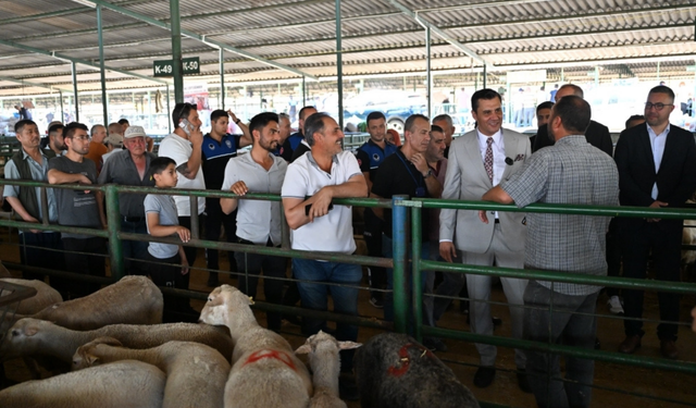Başkan Zeyrek, Canlı Hayvan Borsası’nı ziyaret etti