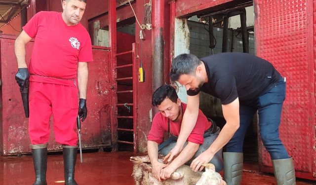 Manisa'da kurban kesimini uygulamalı öğrendiler