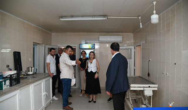 Sokak Hayvanları Komisyonu iki ilçede incelemelerde bulundu