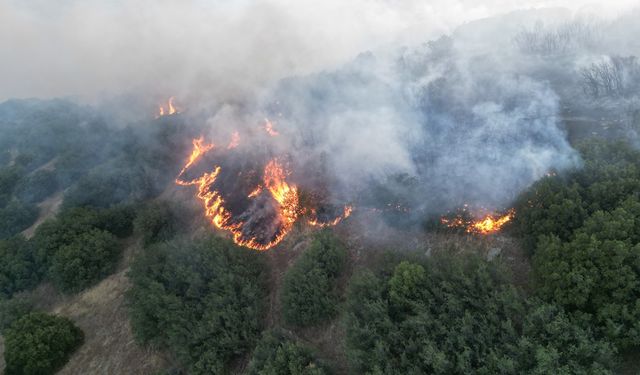 Kula’da makilik alanda yangın!