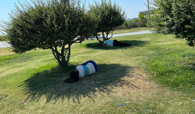 İzmir'de sıcak hava alarmı... Vatandaşlar gölgelere akın etti!