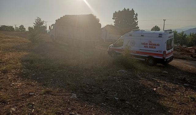 Kamyondan kayan tomrukların altında kalarak can verdi!