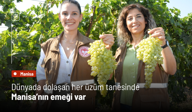 Dünyada dolaşan her üzüm tanesinde Manisa’nın emeği var...