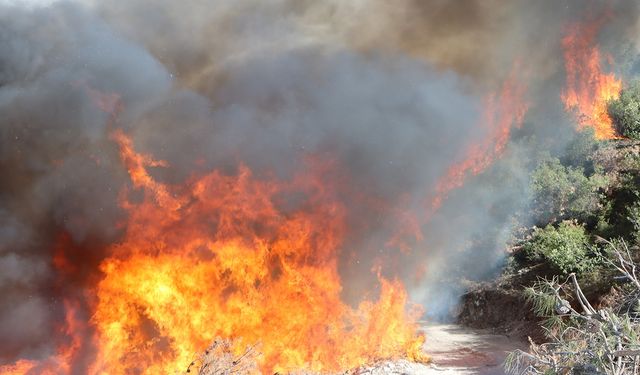 Kula’da orman yangınına müdahale sürüyor! 2 mahalle tahliye edildi…