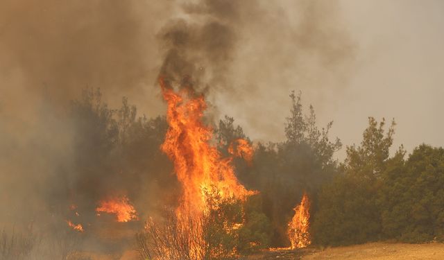 Kula’da orman yangınına müdahale devam ediyor