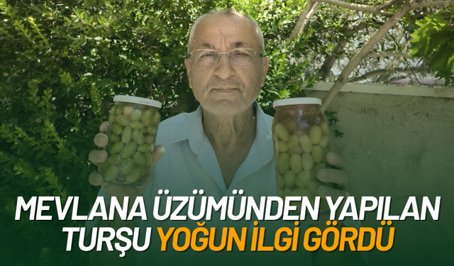 Sarıgöl’de Mevlana üzümünden yapılan turşuya büyük ilgi