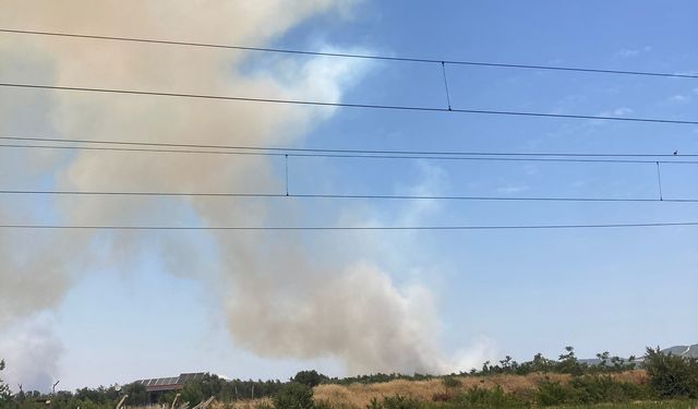 Son dakika... Saruhanlı'da orman yangını!