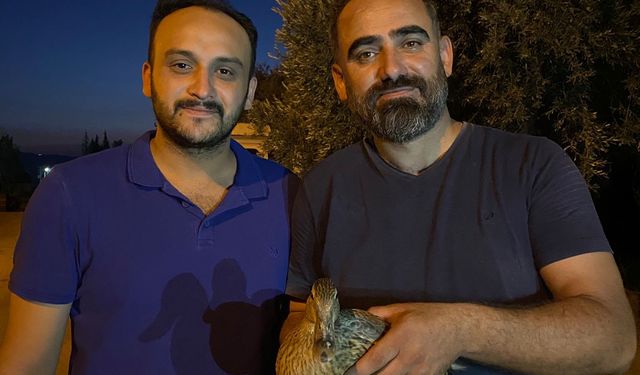 Yaralı halde bulduğu yaban ördeğe nefes oldu!