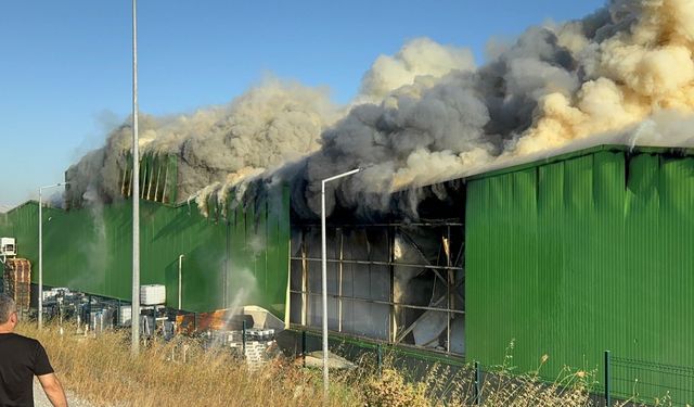 Teksüt fabrikasındaki yangına 7 gözaltı