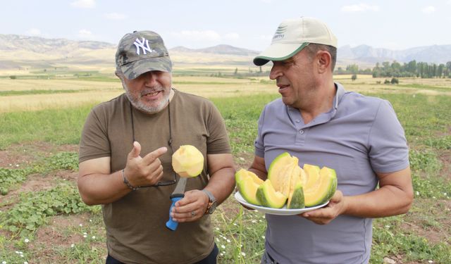 Yozgat'tan Manisa'ya "Bağrıbütün Kavunu" gönderiyor