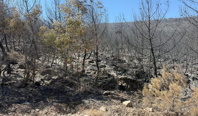 Soma yangınında 2 kişi tutuklandı