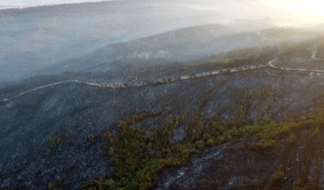 Çanakkale'deki yangın tamamen kontrol altında