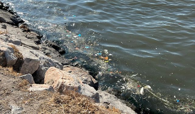 İzmir Körfezi'nde pis koku çilesi... Vatandaşlar kokudan duramadı