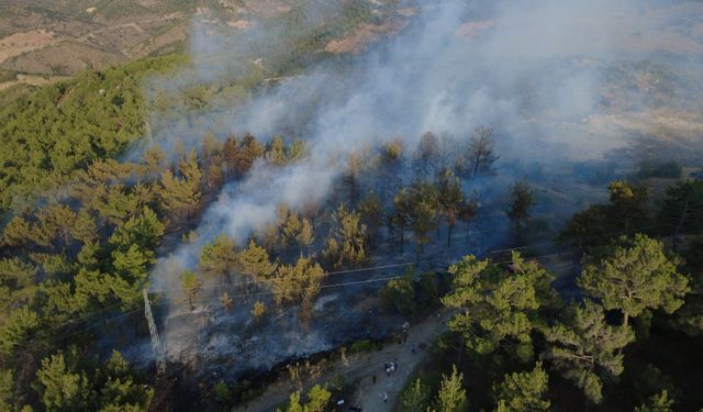 Demirci'de yangın: 5 hektar kızılçam ormanı zarar gördü