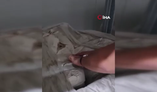 İzmir'de gıda operasyonu; bin 907 ton süt ve süt ürünü muhafaza altına alındı