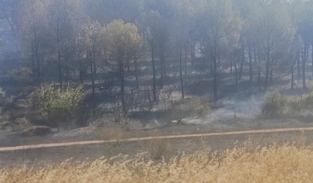 Soma yangınında bir mahalle boşaltındı, bir kişi de gözaltına alındı