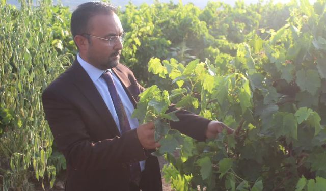 Başkan İksir: Üzüm üreticisini yok saydınız