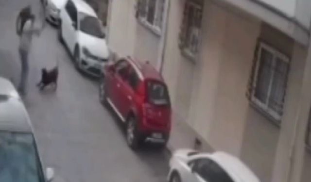 İzmir'de kan donduran görüntüler! Kemerle dövdü