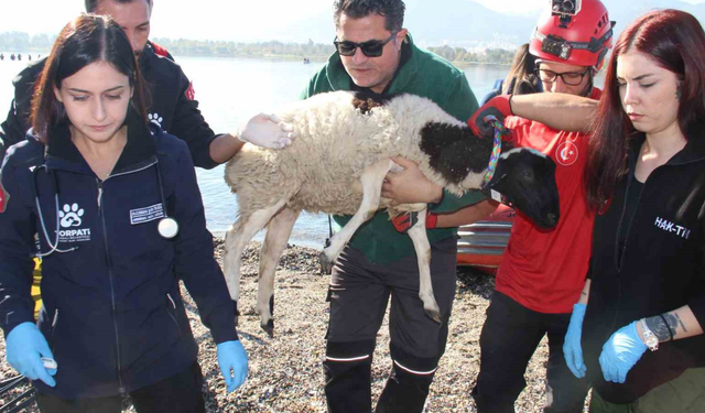 AFAD'dan İzmir'de gerçekçi sel tatbikatı