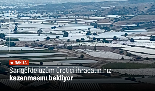 Sarıgöl’de üzüm üretici ihracatın hız kazanmasını bekliyor