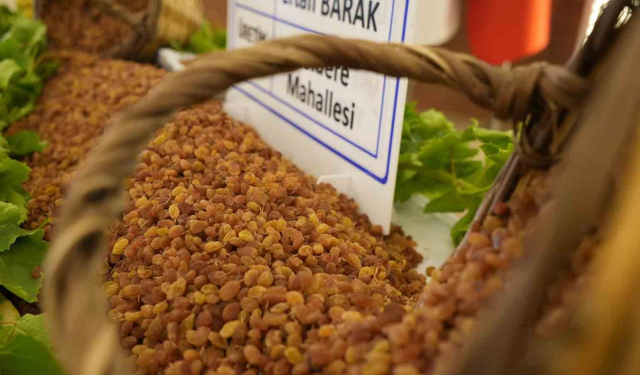 Manisa’nın 9 aylık tarım ihracatı 706,7 milyon dolara ulaştı