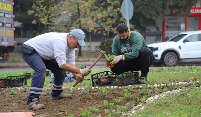 Turgutlu güzelleşiyor: Park Bahçe Müdürlüğü iş başında