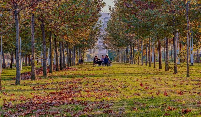 Manisa’da sonbahar renkleri Güzelyurt Mahallesi’ni süsledi