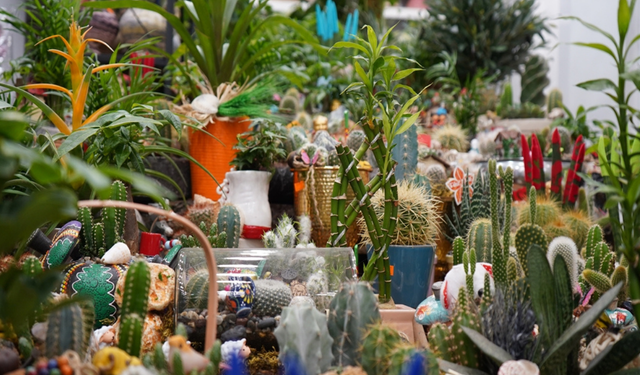 Öğretmenler günü öncesi çiçeklere yoğun ilgi
