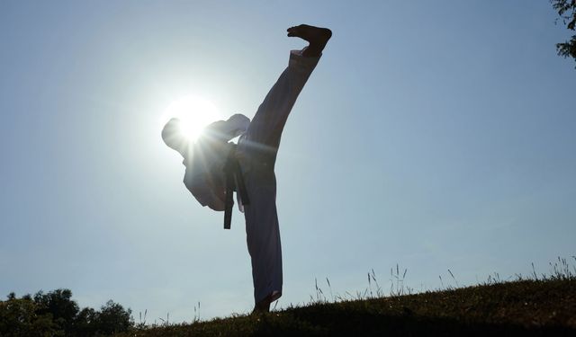 Dünya şampiyonu Taekwondo Milli Takımı yurda döndü