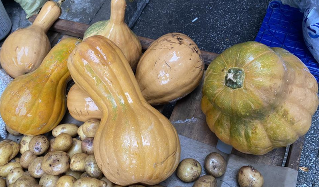 Alaşehir semt pazarında şifa deposu bal kabağına yoğun ilgi