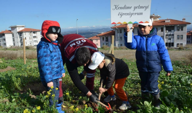 Yanan 4 bin 562 hektarlık alan yeniden yeşeriyor