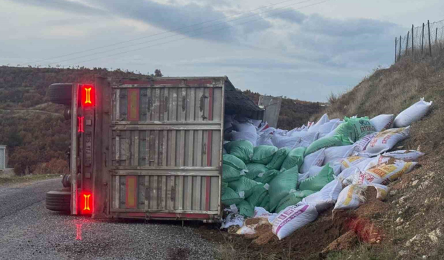 Gördes'te yem yüklü TIR devrildi: 1 yaralı
