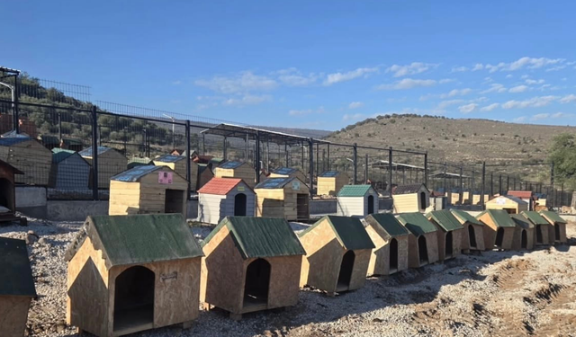 Seren Serengil’den anlamlı bağış