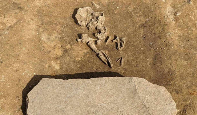 Almanya’da 4 bin 200 yıllık ‘zombi mezarı’ bulundu