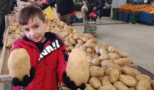 Sarıgöl Pazarı’nda dev patatesler ilgi çekti