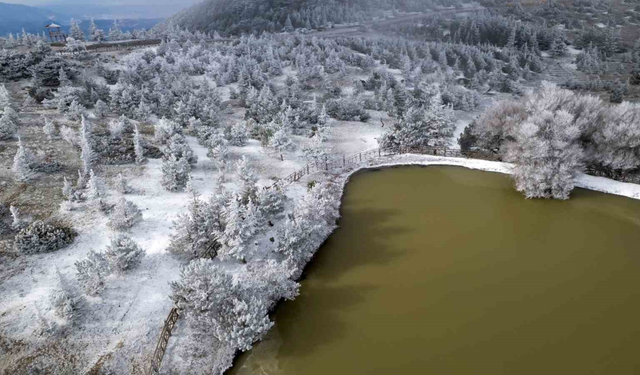 Spil Dağı’nda kırağı güzelliği: Doğa buzla kaplandı