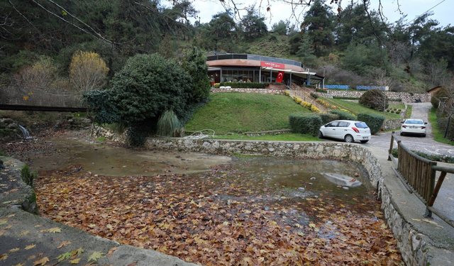 Gençlik Kafe kısa sürede gençlerin gözdesi oldu