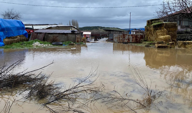 Yoğun yağış Kula’yı vurdu: Evler ve hayvanlar suya teslim oldu